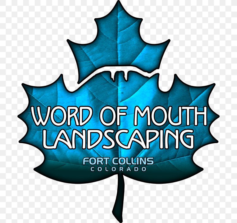 Word Of Mouth Landscaping LLC Lawn Dethatcher, PNG, 700x773px, Lawn, Aeration, Dethatcher, Flagstone, Fort Collins Download Free