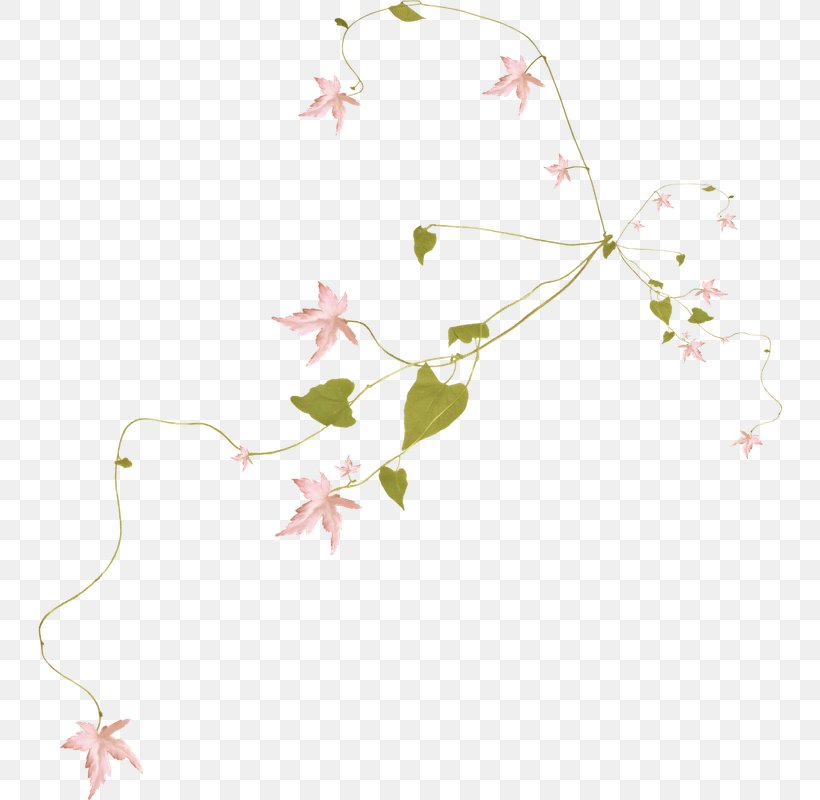 Clip Art, PNG, 744x800px, Flower, Blossom, Branch, Cherry Blossom, Computer Network Download Free