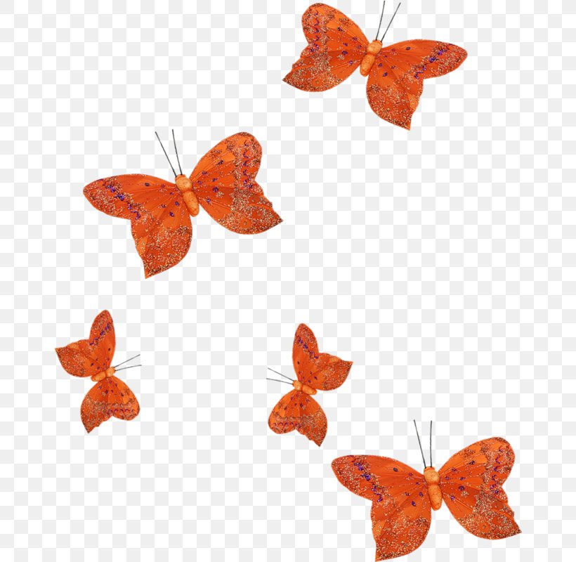 Color Flower Orange, PNG, 666x800px, Color, Arthropod, Auburn Hair, Auglis, Brush Footed Butterfly Download Free