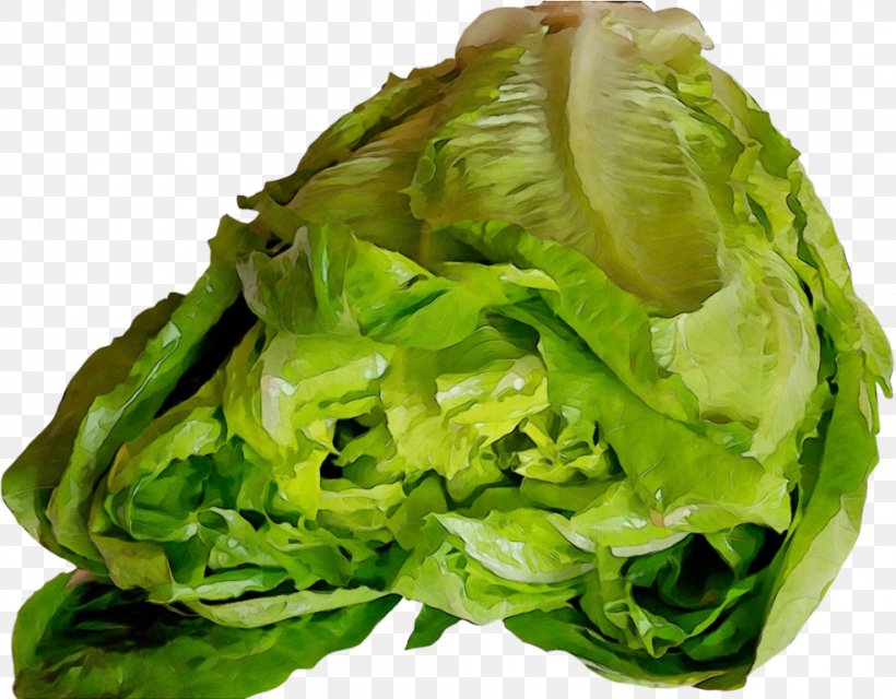 Leaf Vegetable Iceburg Lettuce Vegetable Lettuce Leaf, PNG, 985x769px, Watercolor, Cabbage, Food, Iceburg Lettuce, Leaf Download Free