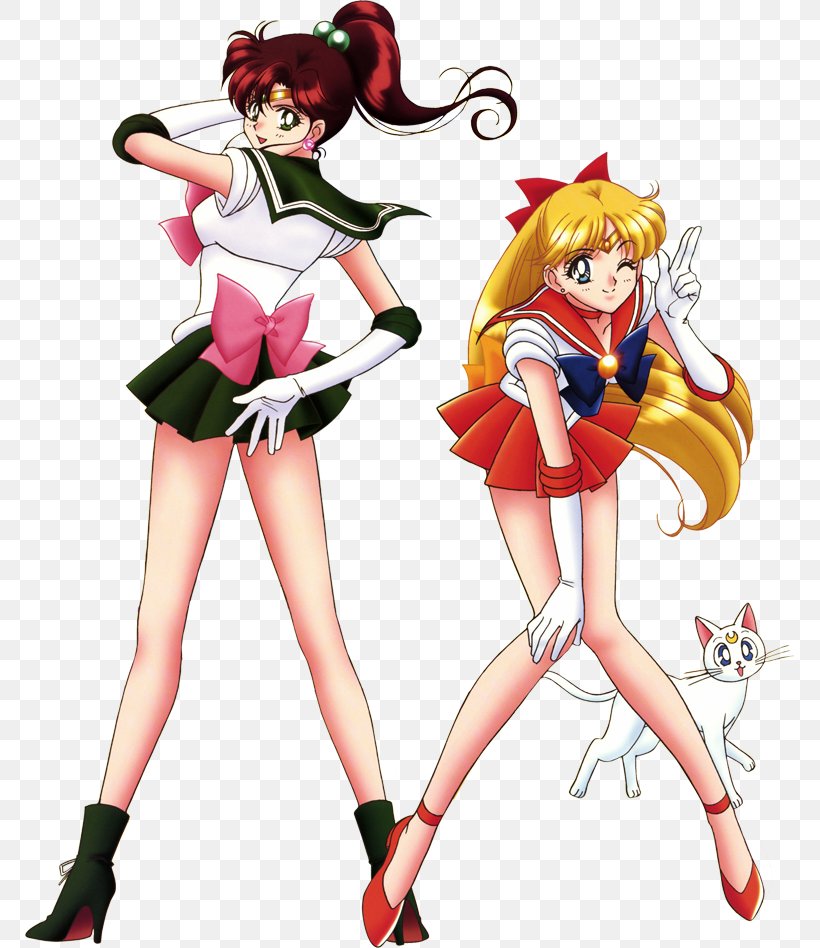 Sailor Jupiter Sailor Moon Sailor Venus Sailor Mercury Sailor Mars, PNG, 769x948px, Watercolor, Cartoon, Flower, Frame, Heart Download Free