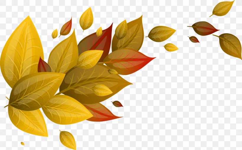 Autumn Leaf Euclidean Vector Yellow, PNG, 1073x668px, Yellow, Autumn, Deciduous, Flower, Fundal Download Free
