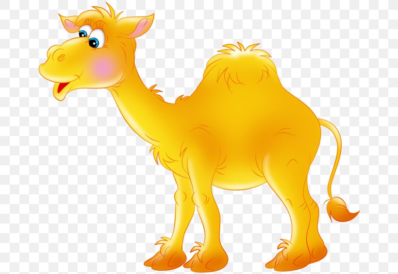 Dromedary Bactrian Camel Clip Art, PNG, 670x564px, Dromedary, Animal Figure, Arabian Camel, Bactrian Camel, Camel Download Free