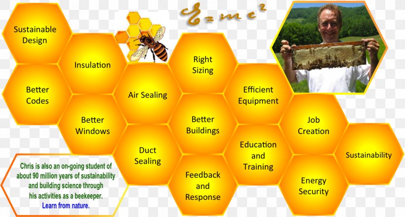 Honey Bee Science Fair Projects Science Project, PNG, 1294x695px, Bee, Beekeeper, Building, Energy, Fair Download Free