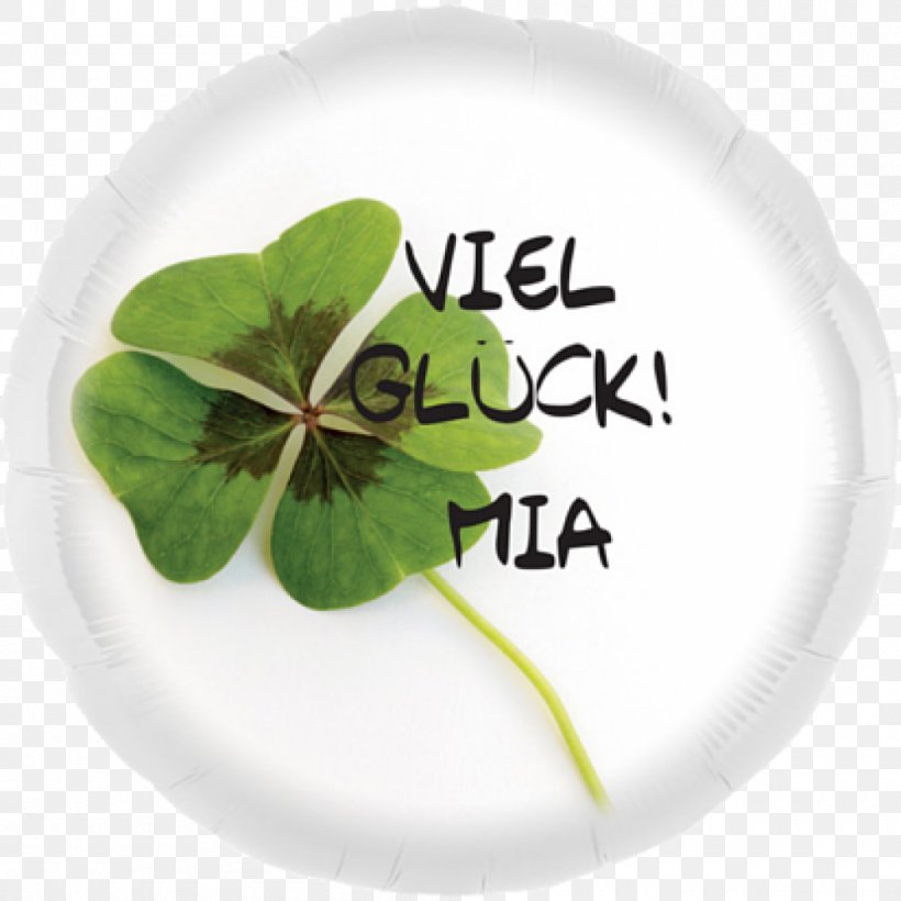 Shamrock Clover Name Text Happiness, PNG, 1000x1000px, Shamrock, Clover, Happiness, Leaf, Name Download Free