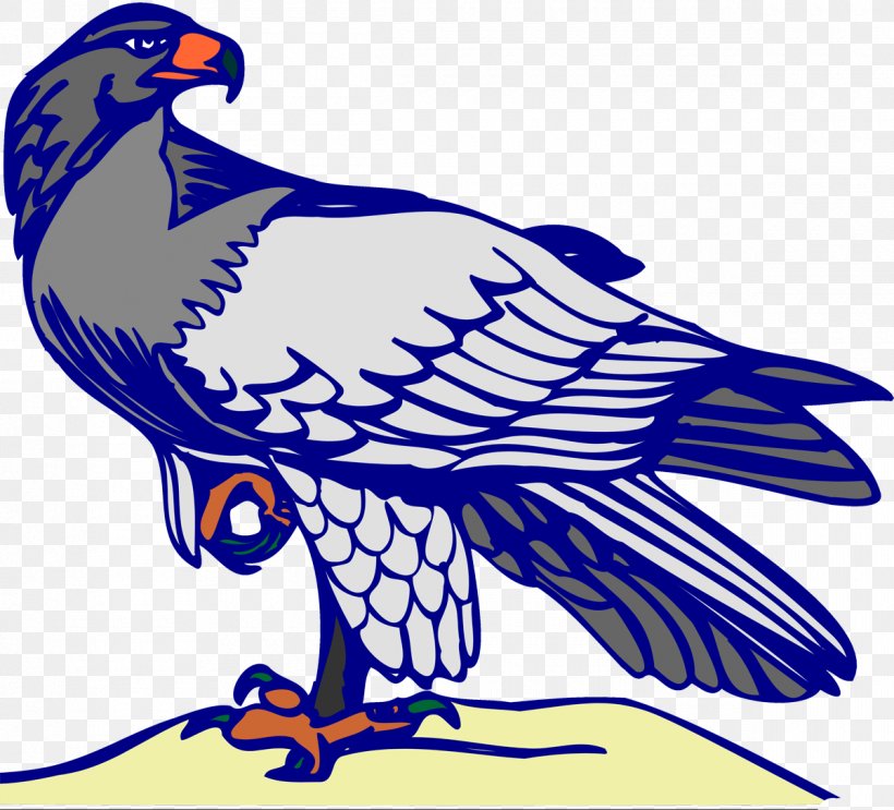 Bald Eagle Oryol Beak Feather, PNG, 1200x1088px, Bald Eagle, Art, Artwork, Beak, Beauty Download Free