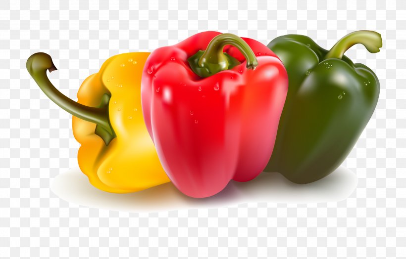 Bell Pepper Capsicum Vegetable Clip Art, PNG, 3000x1919px, Bell Pepper, Bell Peppers And Chili Peppers, Capsicum, Cayenne Pepper, Chili Pepper Download Free