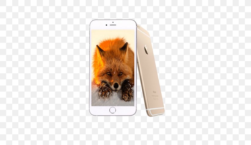 IPhone 6 Smartphone, PNG, 552x475px, Iphone 6, Artworks, Carnivoran, Communication Device, Dog Breed Group Download Free