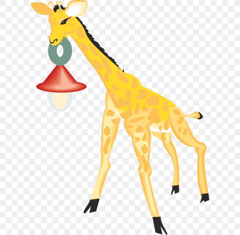 Northern Giraffe Clip Art, PNG, 800x800px, Northern Giraffe, Animal, Animal Figure, Animation, Cartoon Download Free