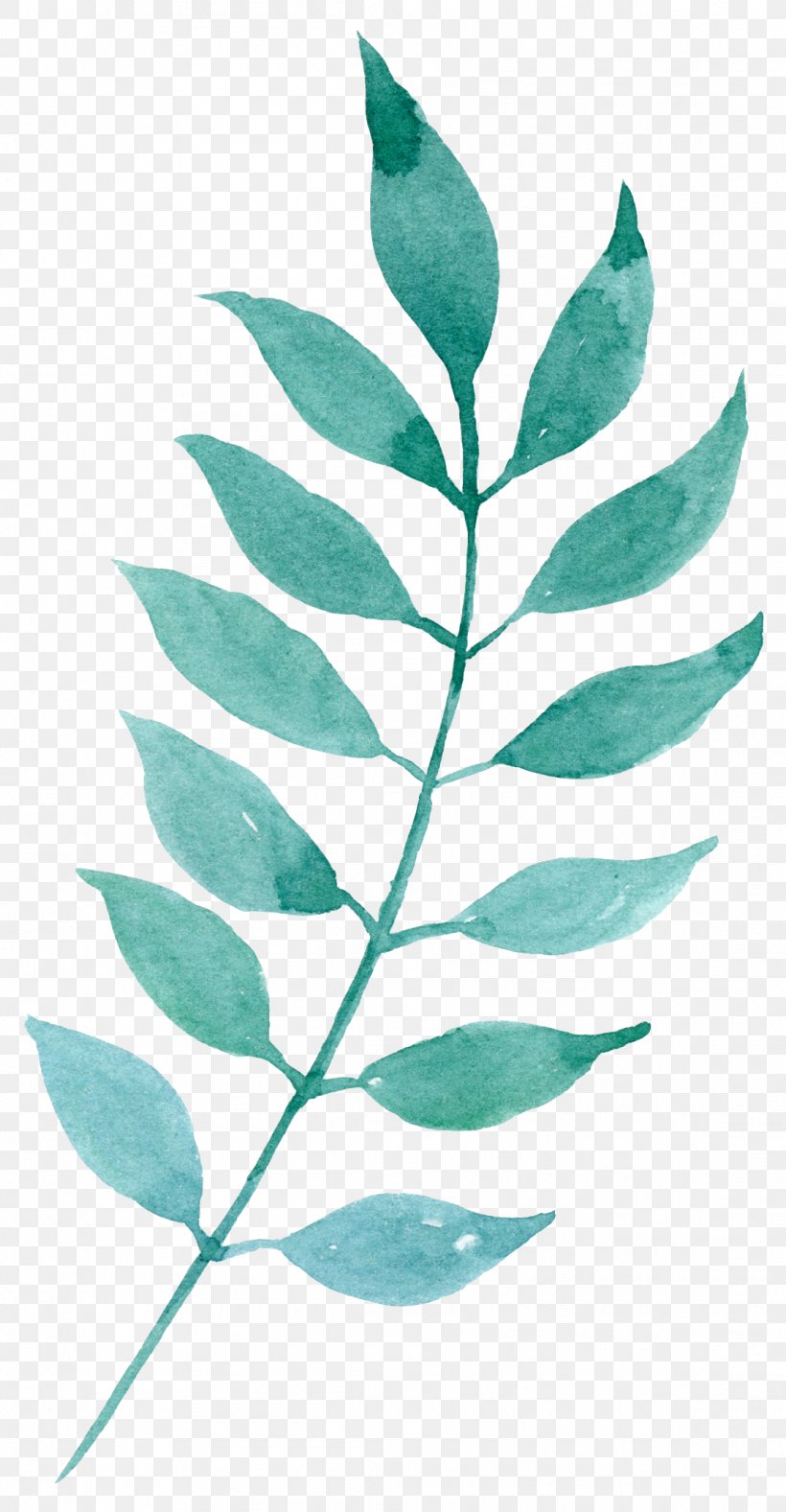 Watercolor Painting Download Leaf, PNG, 1109x2133px, Watercolor Painting, Branch, Cartoon, Coreldraw, Flower Download Free