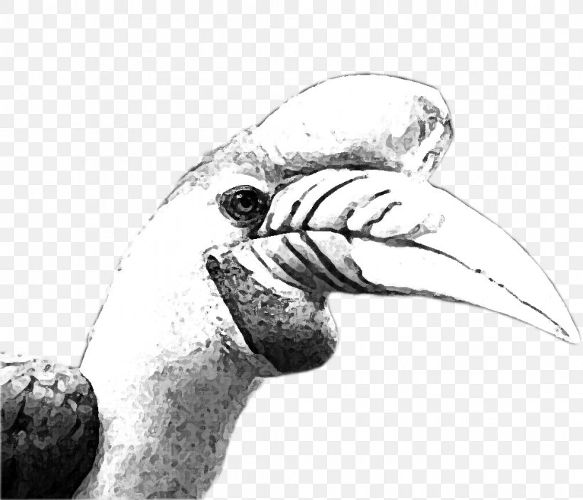 Beak Flightless Bird Wing Finger, PNG, 1003x860px, Beak, Arm, Bird, Black And White, Drawing Download Free