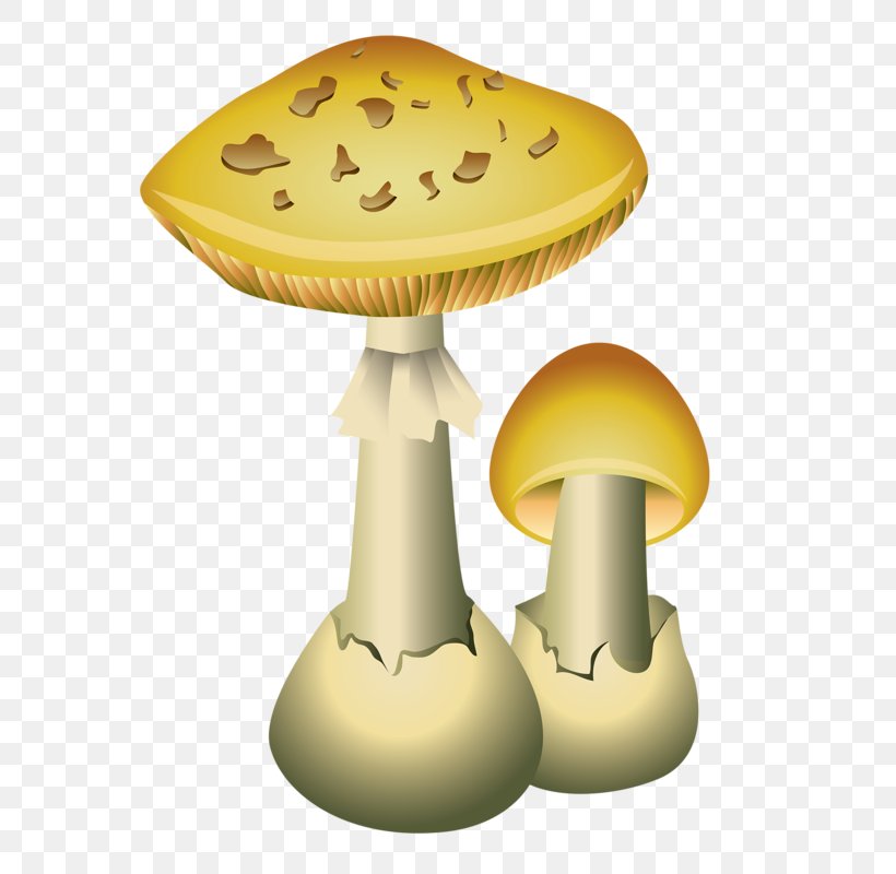 Common Mushroom Vector Graphics Edible Mushroom Illustration, PNG, 588x800px, Common Mushroom, Agaricus, Drawing, Edible Mushroom, Fungus Download Free