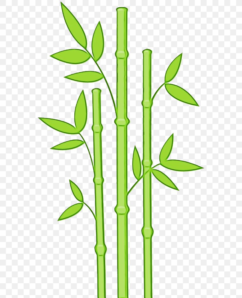Family Tree Background, PNG, 564x1010px, Plant Stem, Bamboo, Flower, Grass, Grass Family Download Free