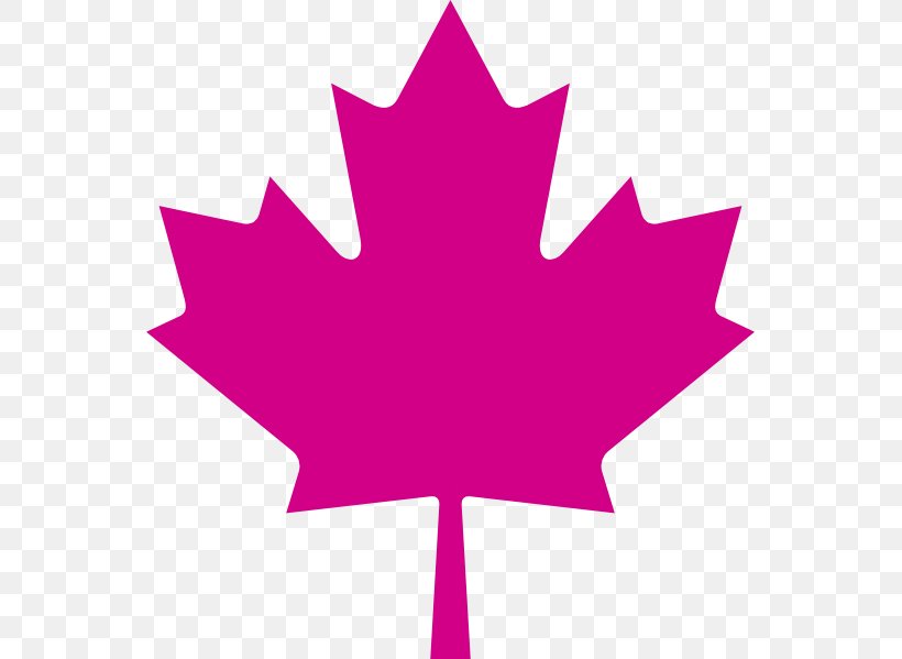 Flag Of Canada Maple Leaf Clip Art, PNG, 553x599px, Canada, Flag Of Canada, Flower, Flowering Plant, Japanese Maple Download Free