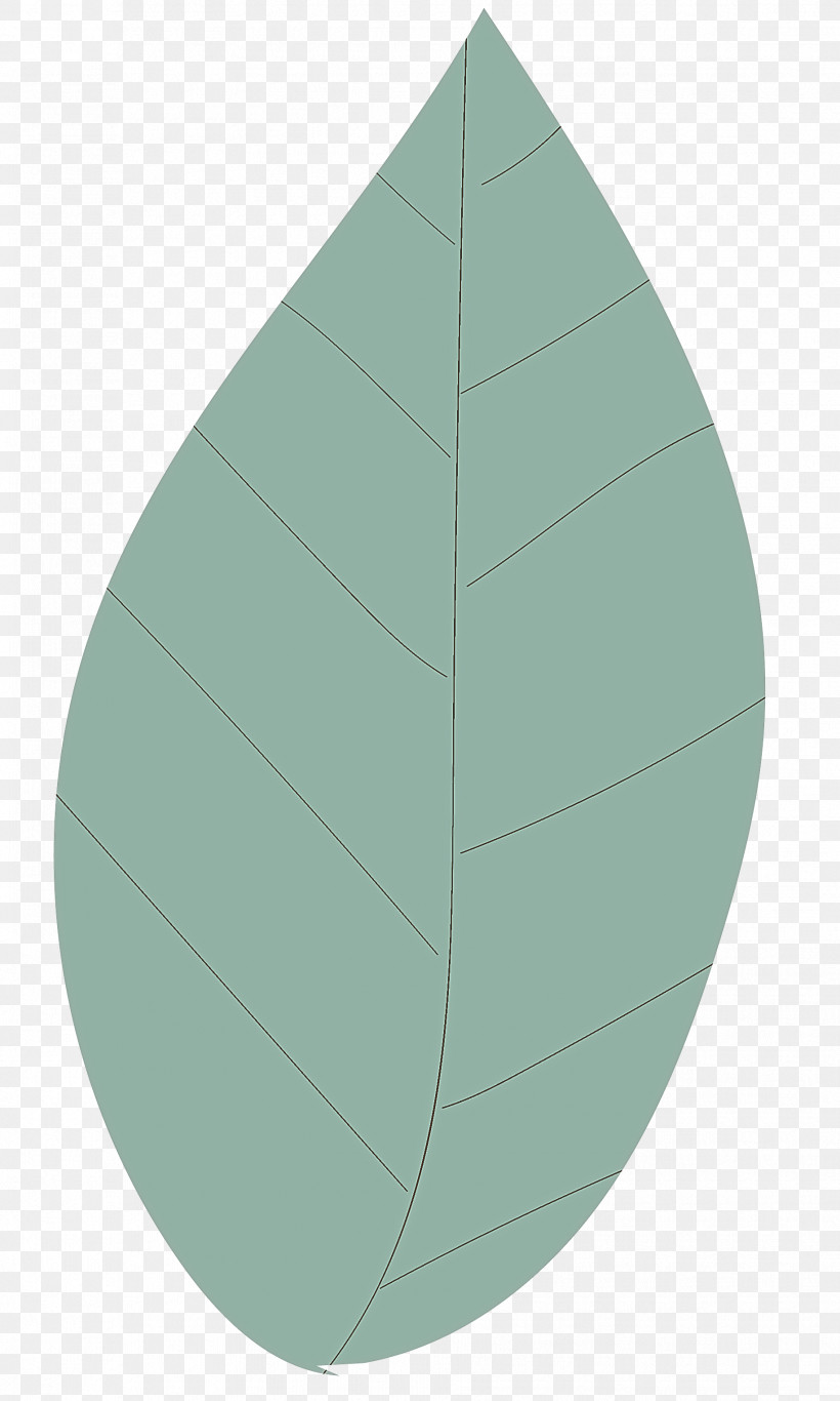 Leaf Circle Angle Green Plant Structure, PNG, 1831x3051px, Leaf, Analytic Trigonometry And Conic Sections, Angle, Biology, Circle Download Free