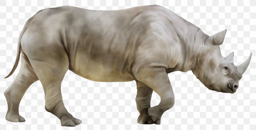 White Rhinoceros Stock Photography Hippopotamus, PNG, 2999x1529px, Rhinoceros, Animal Figure, Black Rhinoceros, Camel, Drawing Download Free