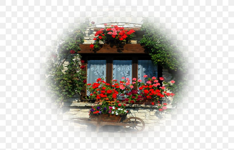 Floral Design Desktop Wallpaper Computer Flowering Plant, PNG, 600x525px, Floral Design, Computer, Flora, Flower, Flowering Plant Download Free