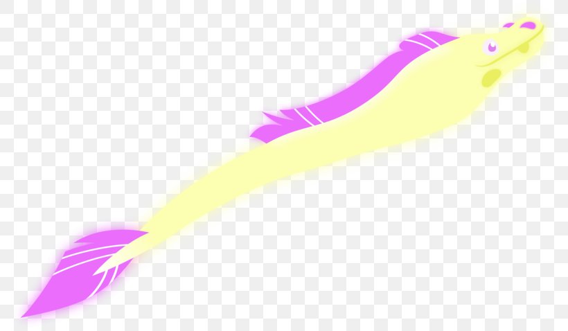Pink M Feather, PNG, 800x478px, Pink M, Feather, Pink, Purple, Tail Download Free