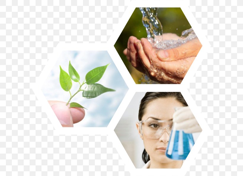 Chemical Industry Responsible Care Canada Chemistry, PNG, 606x596px, Chemical Industry, Canada, Chemistry, Hand, Industry Download Free