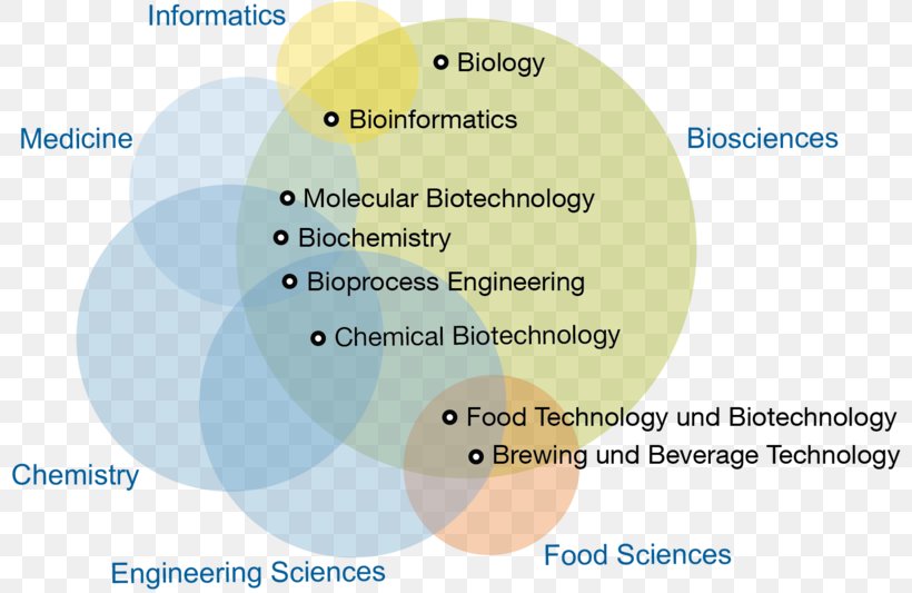 Technical University Munich Bachelor's Degree Master's Degree TUM Department Of Informatics And Mathematics Bachelor Of Science, PNG, 800x533px, Technical University Munich, Academic Degree, Bachelor Of Science, Bioinformatics, Brand Download Free