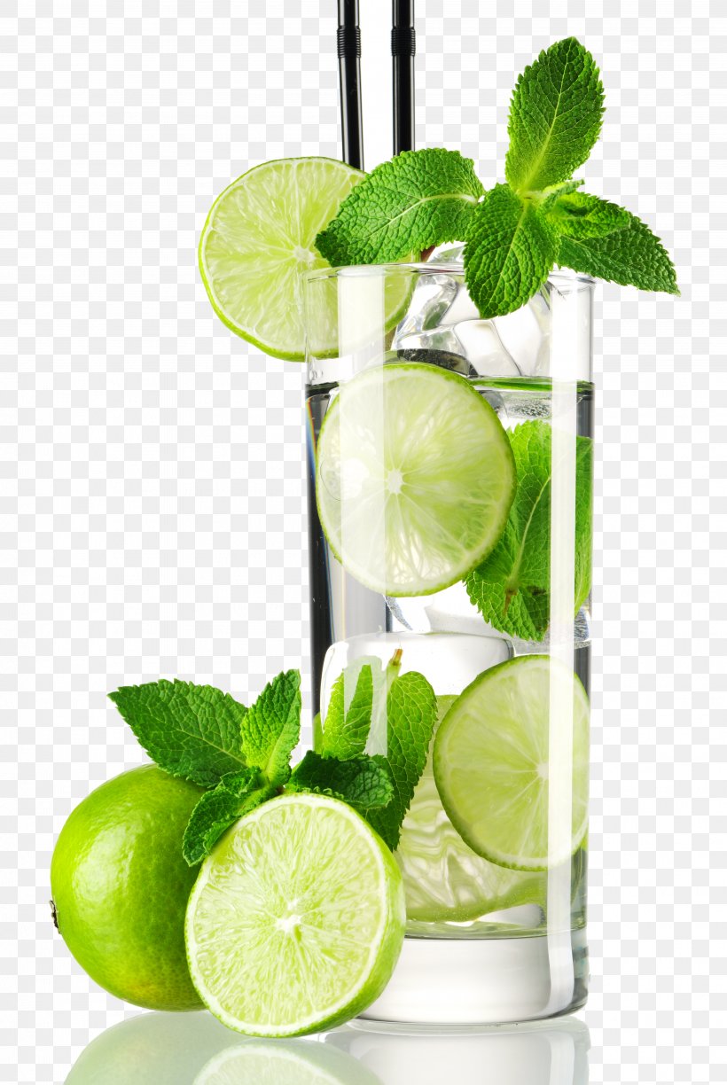 Water Mint Lemon-lime Drink Water Ionizer, PNG, 4032x6020px, Water Mint, Alkaline Diet, Caipirinha, Caipiroska, Citric Acid Download Free