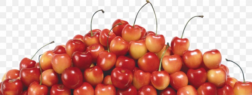 Cherry Cherries Jubilee Berry Fruit Salad, PNG, 3500x1329px, Cherry, Apple, Bell Peppers And Chili Peppers, Berry, Cherries Jubilee Download Free