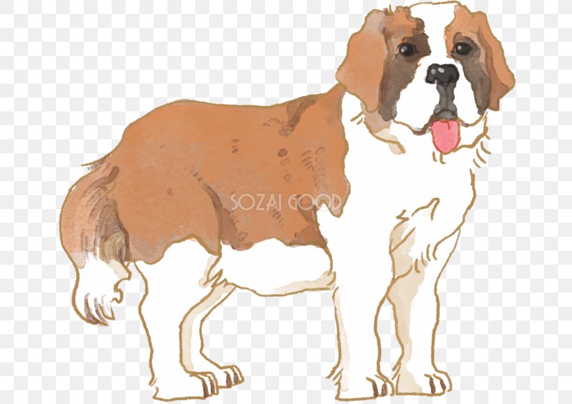 Dog Breed St. Bernard English Foxhound Puppy Companion Dog, PNG, 660x580px, Dog Breed, Breed, Breed Group Dog, Carnivoran, Companion Dog Download Free