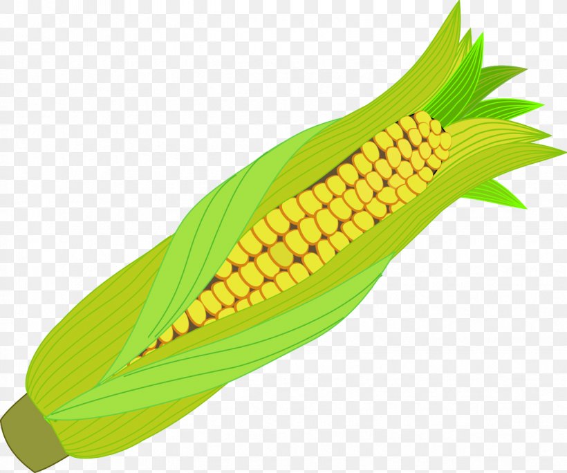 Maize Corn On The Cob Food, PNG, 1226x1024px, Maize, Banana, Cereal, Commodity, Corn On The Cob Download Free