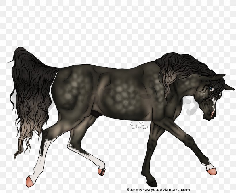Mustang Stallion Mare Foal Colt, PNG, 987x810px, Mustang, Bridle, Colt, Fauna, Foal Download Free
