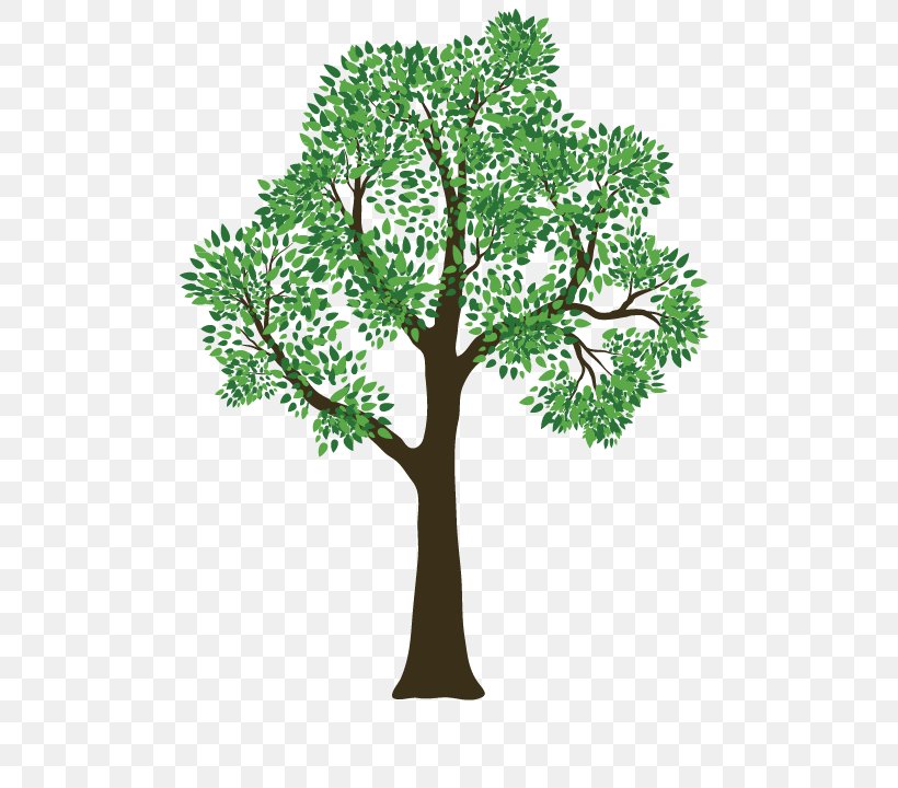 Rivas Tree Service Pruning, PNG, 798x720px, Tree, Arborist, Architectural Engineering, Branch, Floor Download Free