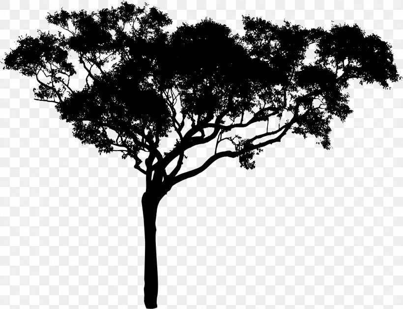 Tree Silhouette Branch Clip Art, PNG, 2344x1798px, Tree, Black And White, Branch, Dawn, Drawing Download Free