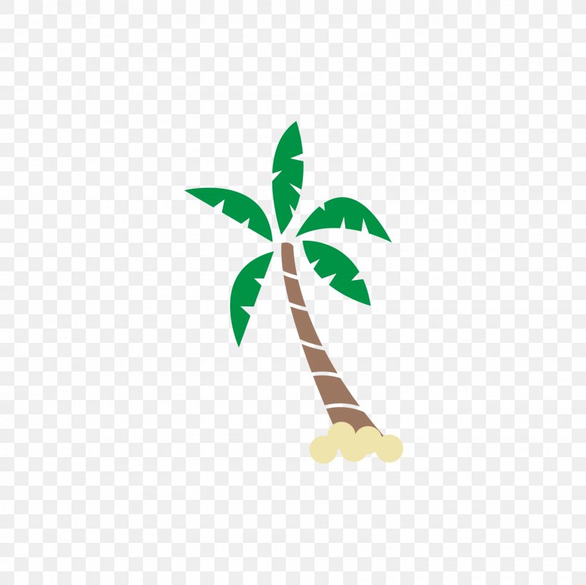 Coconut Euclidean Vector, PNG, 1600x1600px, Coconut, Branch, Flower, Grass, Green Download Free