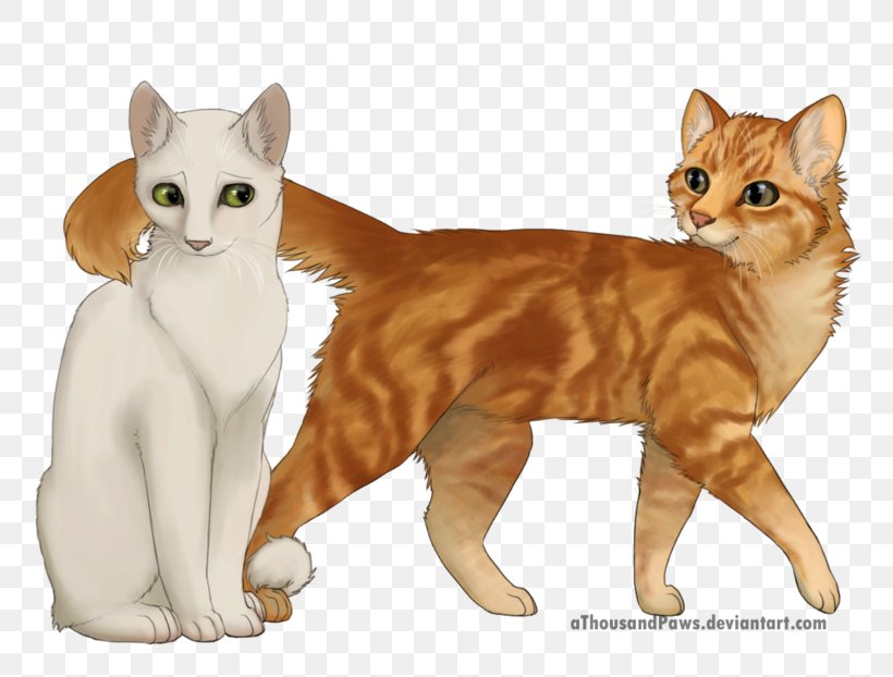 Kitten Manx Cat American Wirehair Whiskers Art, PNG, 800x622px, Kitten, American Wirehair, Art, Artist, Asian Download Free