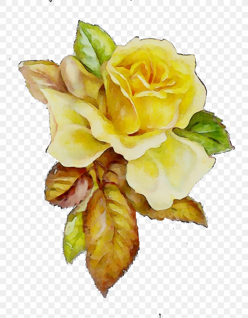 Garden Roses Cabbage Rose Floral Design Cut Flowers, PNG, 1043x1339px, Garden Roses, Artificial Flower, Austrian Briar, Botany, Bouquet Download Free