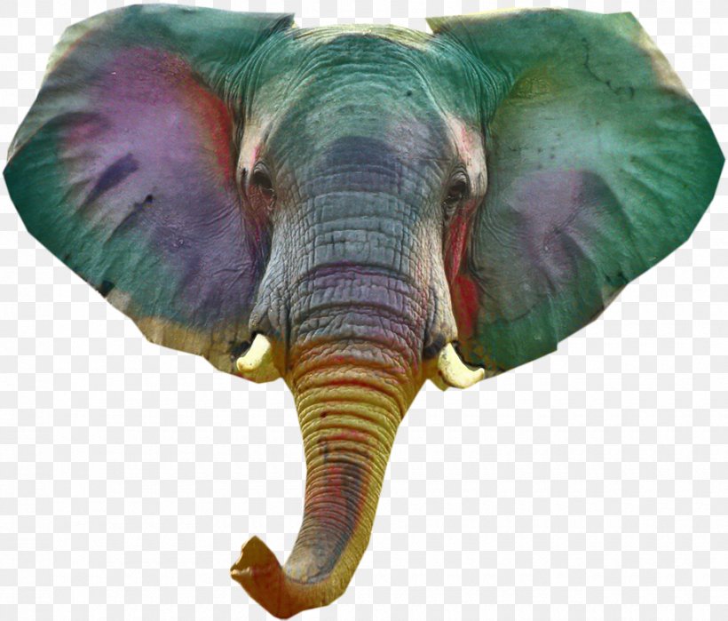 Indian Elephant African Elephant Terrestrial Animal Purple, PNG, 920x785px, Indian Elephant, African Elephant, Animal, Animal Figure, Elephant Download Free