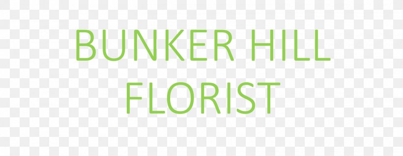 Pylon Design Consultants Limited Logo RGB Service Bunker Hill Florist Amet, PNG, 1500x584px, Logo, Amet, Brand, Charlestown, Grass Download Free