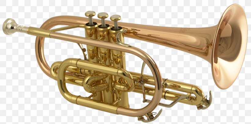 Brass Instruments Musical Instruments Aerophone Cornet Wind Instrument, PNG, 1000x496px, Watercolor, Cartoon, Flower, Frame, Heart Download Free