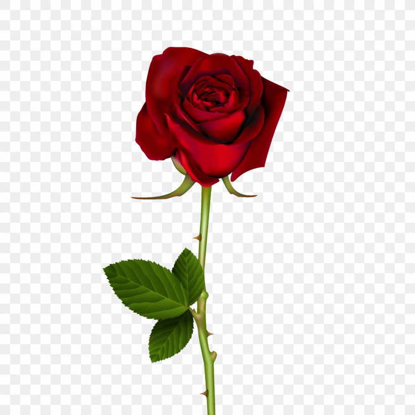Garden Roses Flower Clip Art Image, PNG, 2289x2289px, Rose, Artificial Flower, Blue Rose, Botany, Bud Download Free