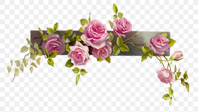 Pink Flowers Rose Clip Art, PNG, 1600x904px, Flower, Artificial Flower, Blue, Cut Flowers, Flora Download Free