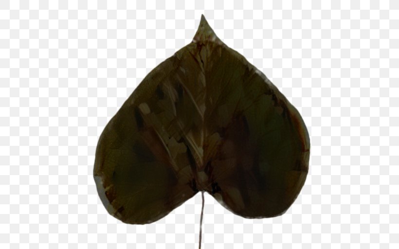 Plant Leaf, PNG, 512x512px, Leaf, Anthurium, Brown, Plant Download Free