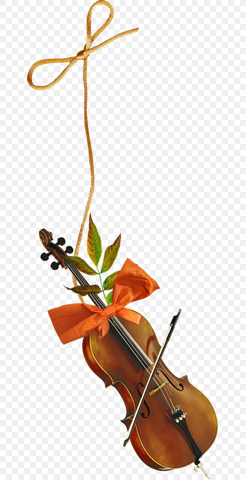 Violone Violin Cello Viola Musical Instruments, PNG, 639x1600px, Watercolor, Cartoon, Flower, Frame, Heart Download Free