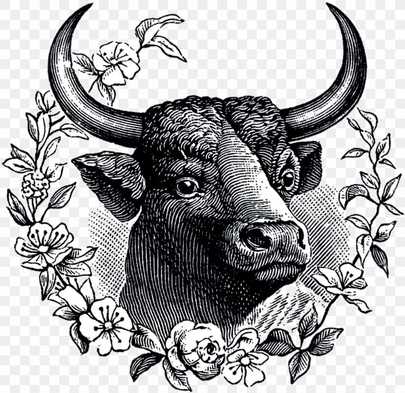 Cattle Bull Ox /m/02csf Domestic Yak, PNG, 1800x1749px, Cattle, Animal, Black And White, Bull, Cattle Like Mammal Download Free