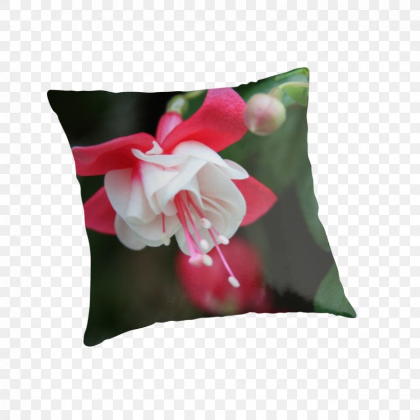 Cushion Pillow Flowering Plant, PNG, 875x875px, Cushion, Flower, Flowering Plant, Petal, Pillow Download Free