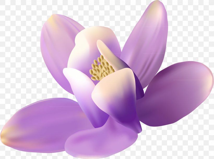 Flower Preview Clip Art, PNG, 1200x896px, Flower, Flowering Plant, Lilac, Moth Orchid, Petal Download Free