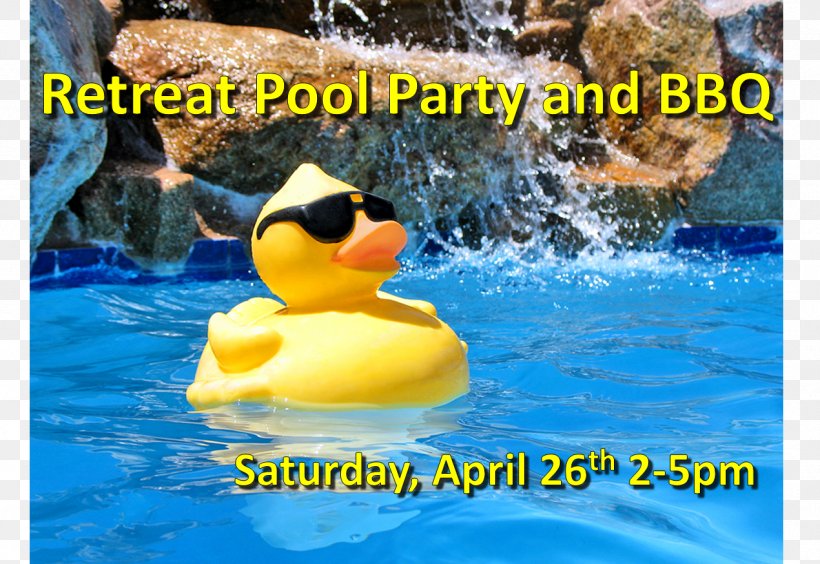 Swimming Pool Party Potluck Infinity Pool, PNG, 1270x875px, Swimming Pool, Beak, Bird, Duck, Ducks Geese And Swans Download Free