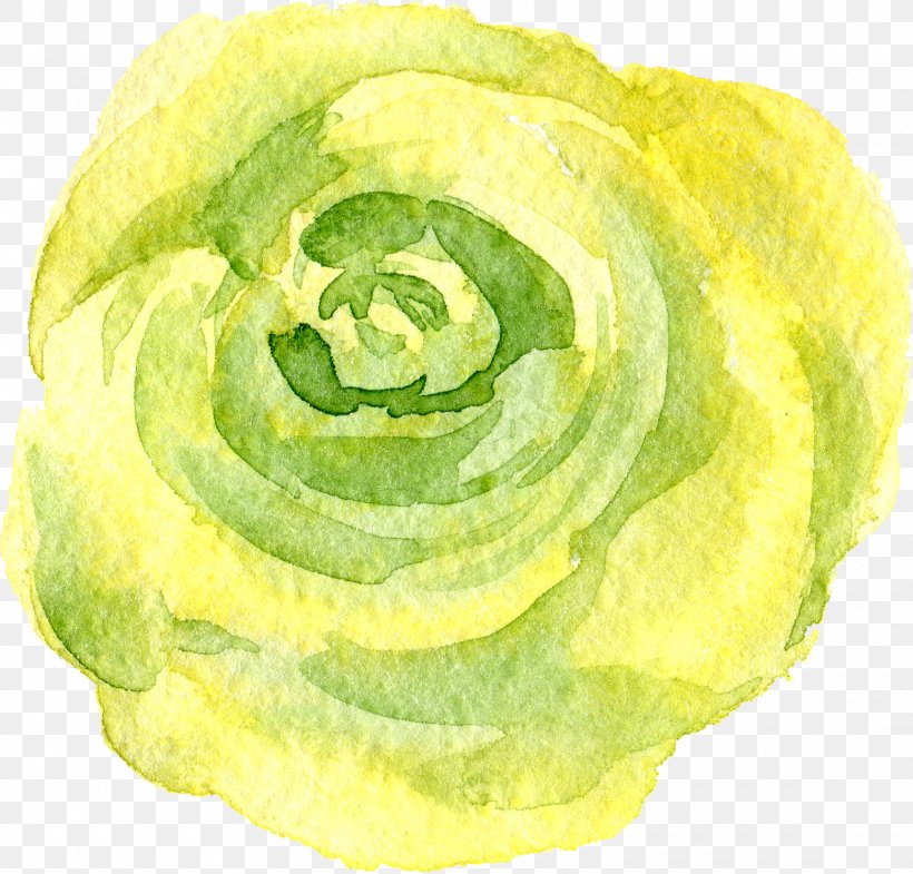 Transparency And Translucency Flower, PNG, 1560x1495px, Transparency And Translucency, Cabbage, Designer, Flower, Food Download Free