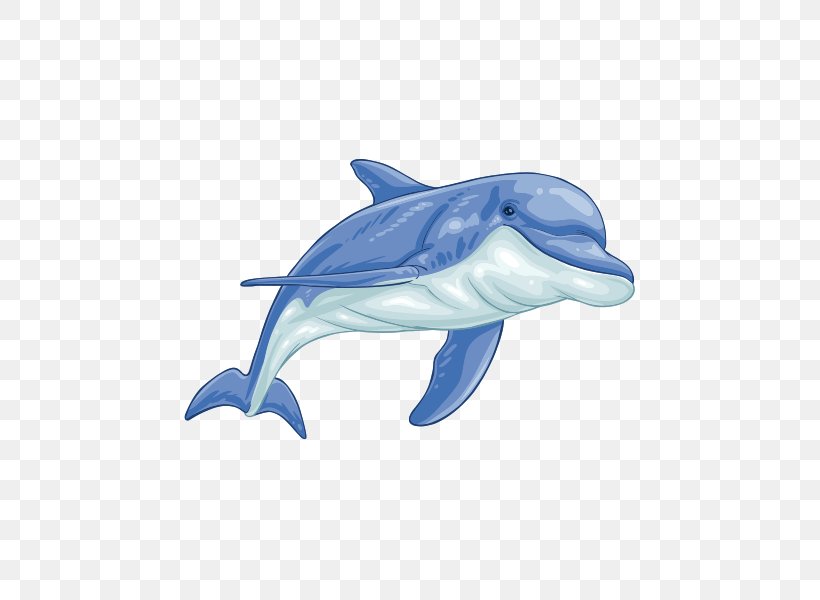 Whale Cartoon, PNG, 600x600px, Shortbeaked Common Dolphin, Blue Whale, Bottlenose Dolphin, Cetacea, Color Download Free