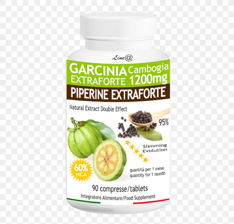 Dietary Supplement Garcinia Cambogia Tablet Piperine Flavor, PNG, 4641x4446px, Dietary Supplement, Antiobesity Medication, Capsule, Discounts And Allowances, Fat Download Free