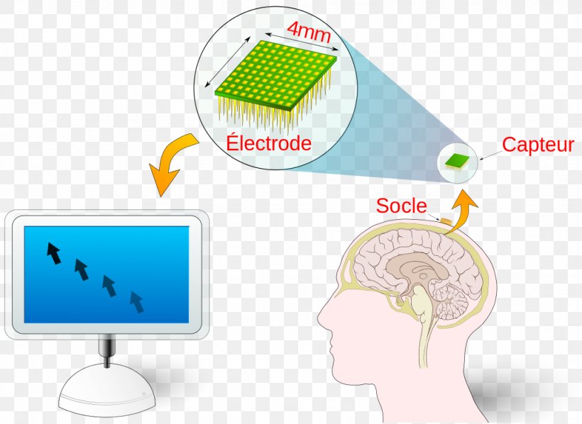 Brain–computer Interface Technology BRLESC, PNG, 1024x747px, Technology, Biochip, Brain, Brand, Communication Download Free