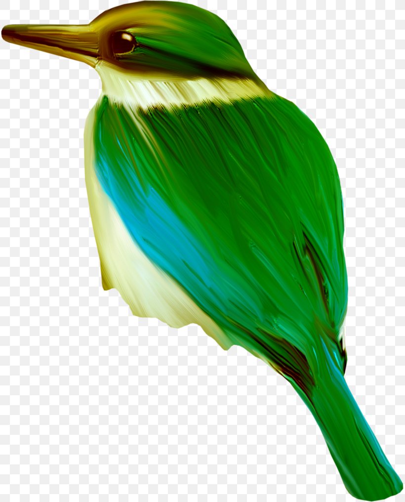 Hummingbird Clip Art, PNG, 815x1016px, Hummingbird, Beak, Bird, Coraciiformes, Fauna Download Free